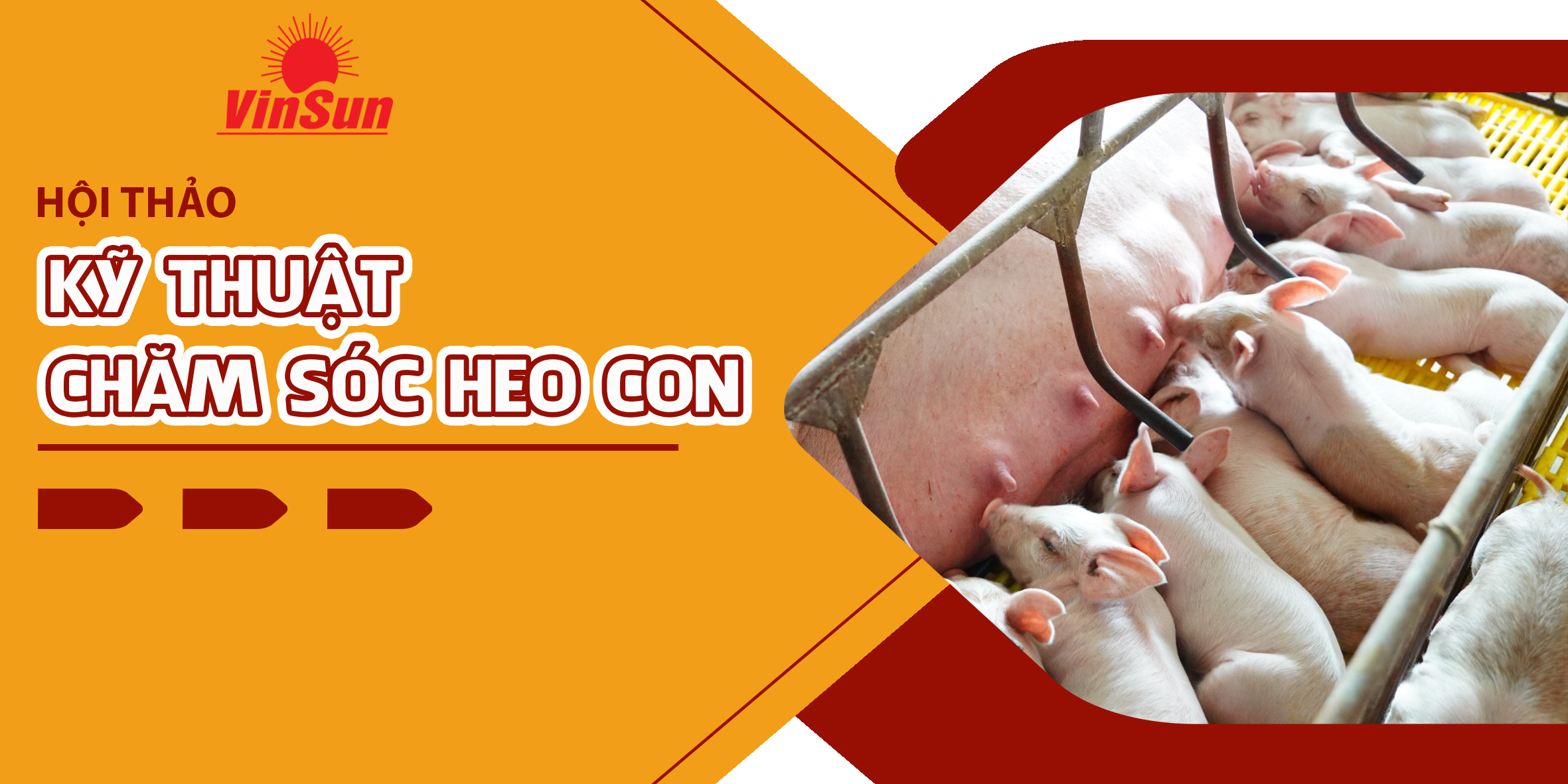 [HƯNG GIA NAM GROUP] HỘI THẢO ĐẦU BỜ TẠI CHIÊM HÓA, TUYÊN QUANG