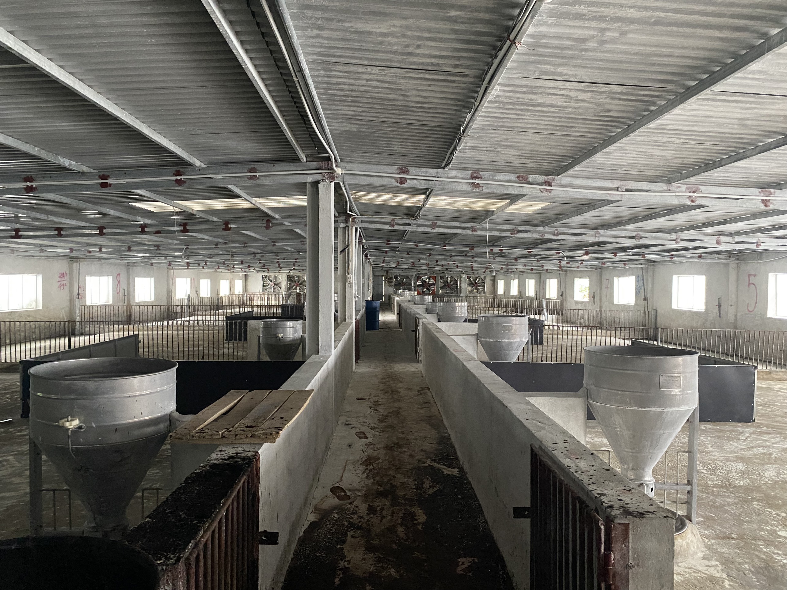 AN TOÀN SINH HỌC TRONG CHĂN NUÔI LỢN